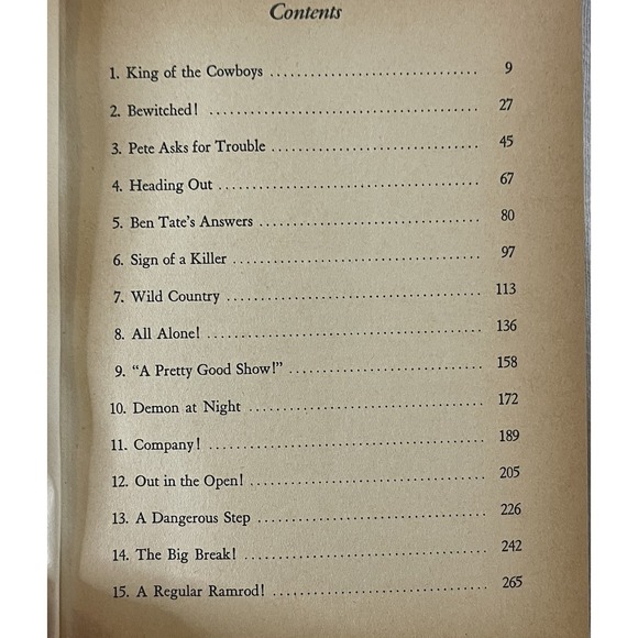 Vintage Roy Rogers The Enchanted Canyon Hardcover Book 1954 by Jim Rivers - Picture 11 of 13